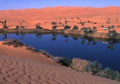 Sahara-Ost: Libyen - Oase mit Sanddünen